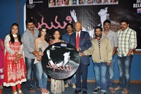 Madhumati Movie Audio Release